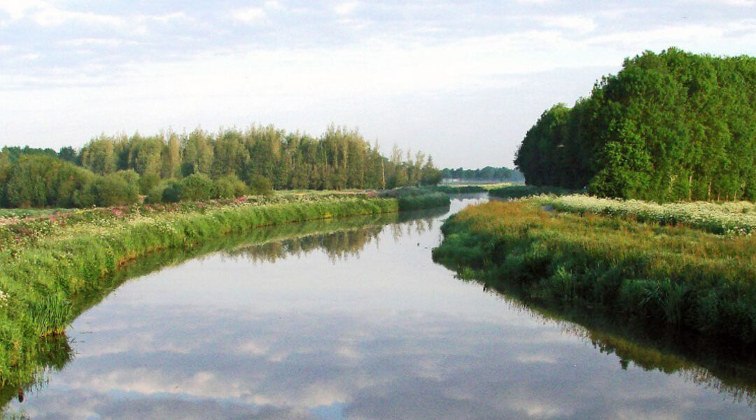 Spijkerboor weer beschermd tegen stijgend water van de Hunze