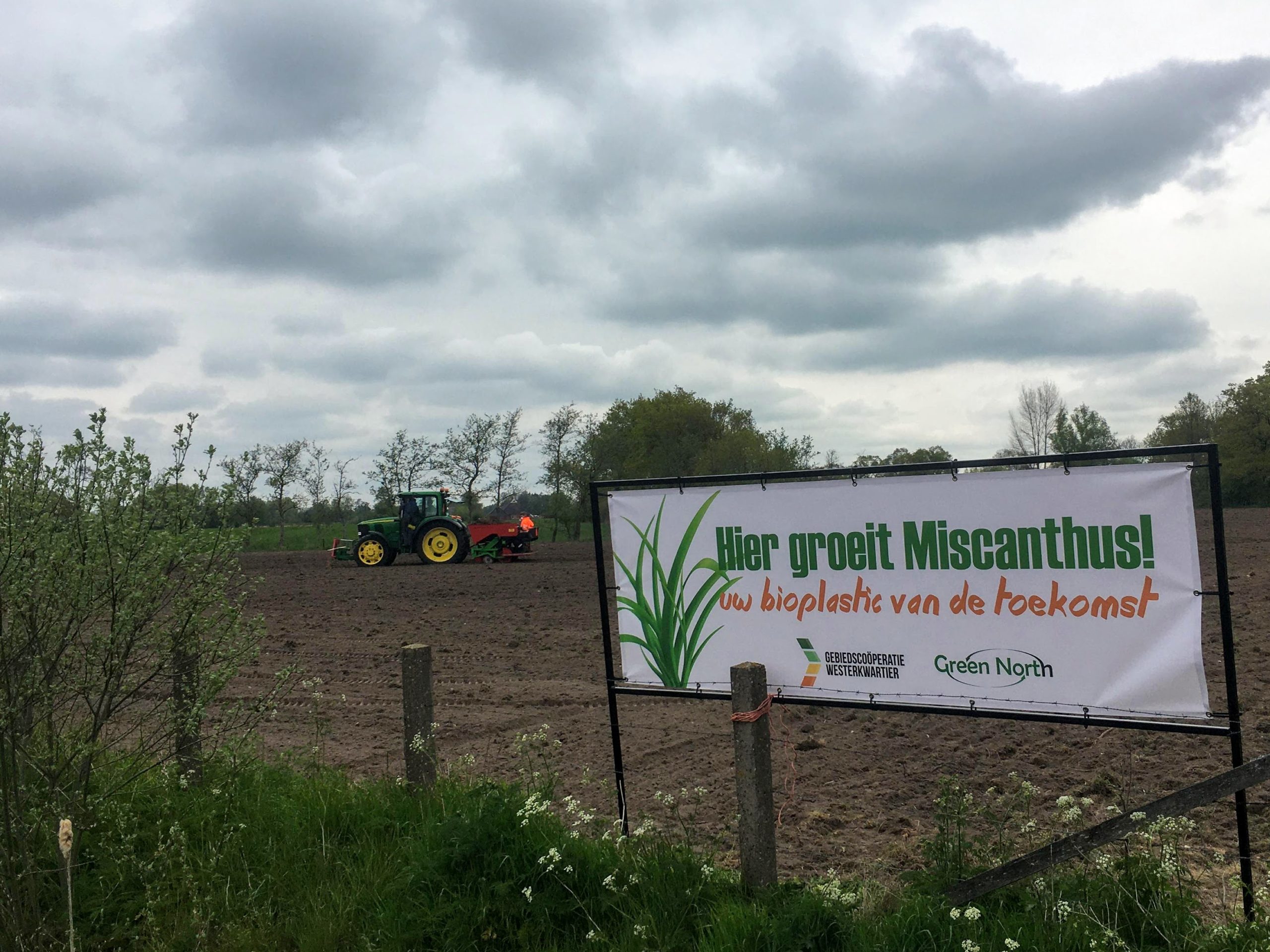 Bouwbord Miscanthus z