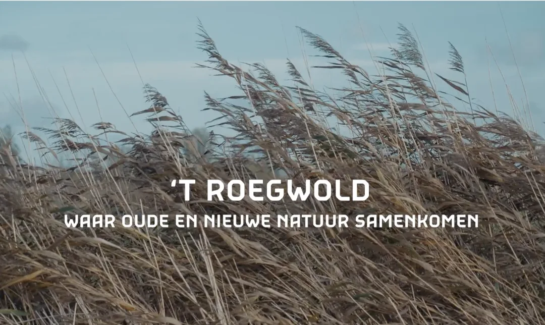 ’t Roegwold: een inspirerend voorbeeld