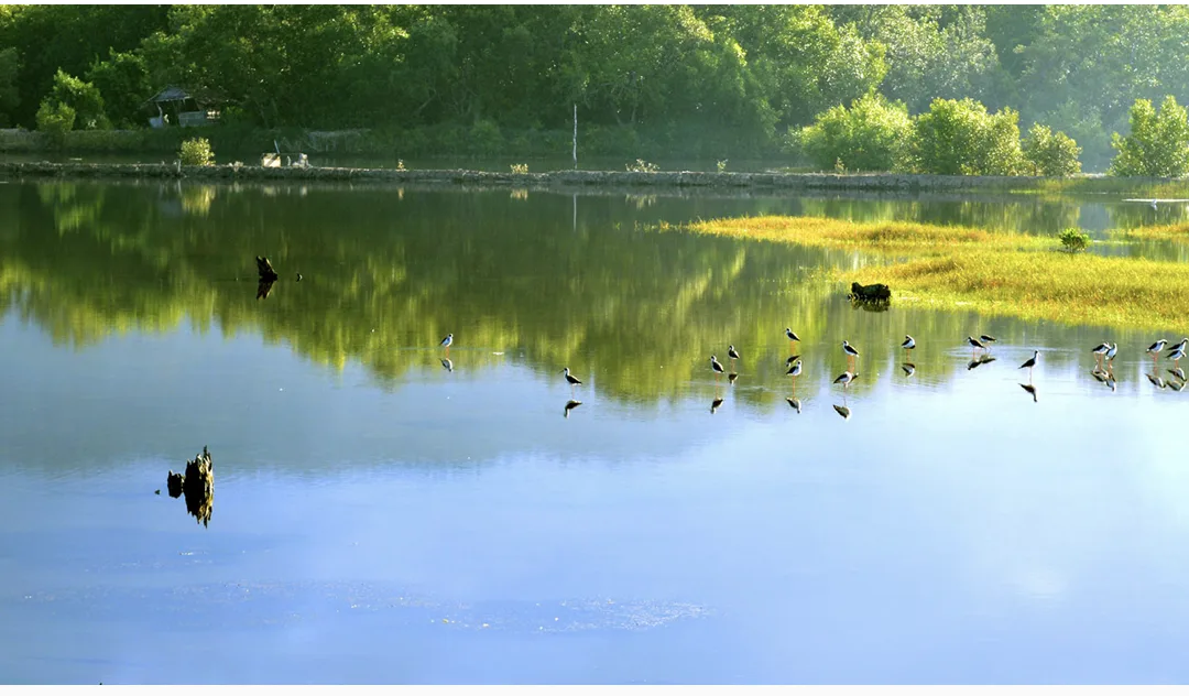 World Wetlands Day
