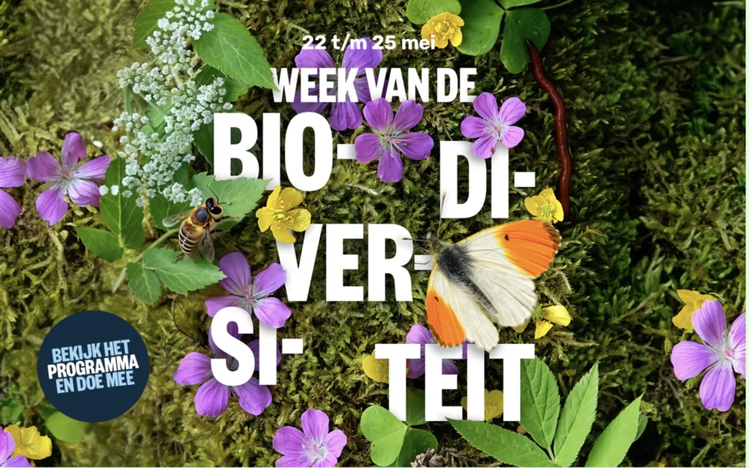 Activiteiten in Gemeente Groningen rondom Internationale Dag van de Biodiversiteit