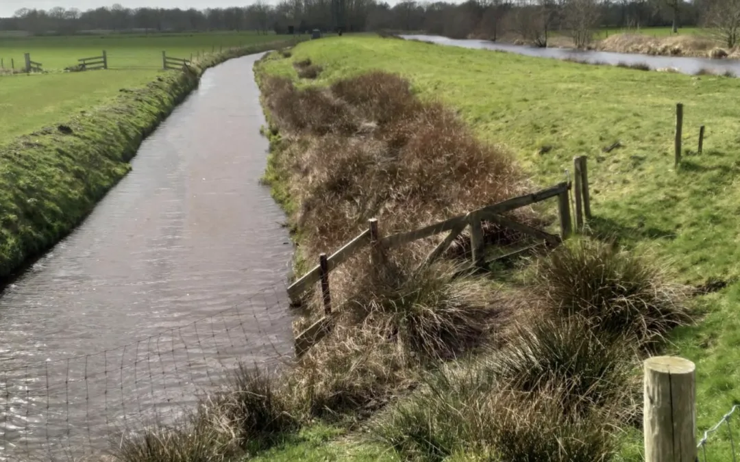 Eerste schetsontwerp Peizerdiep