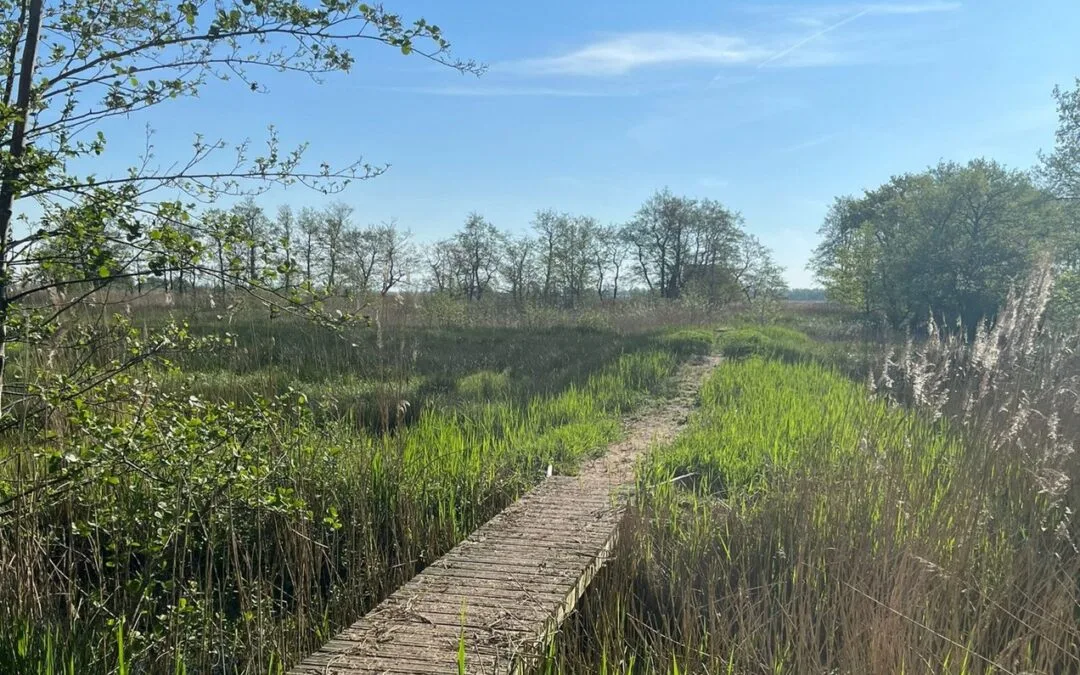 Feestelijke opening wandelpaden in het Zuidelijk Westerkwartier