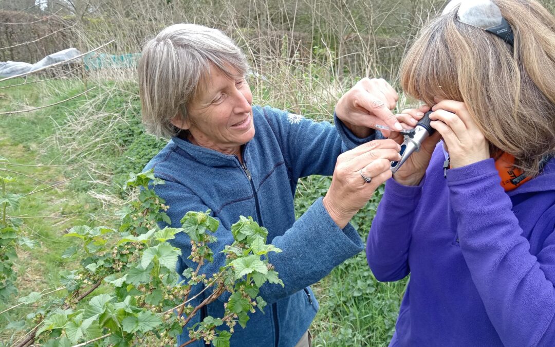 Cursus Bodem- en Plantgezondheid van ‘De Voedselboss’ in Glimmen