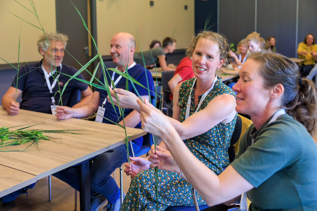 Netwerkbijeenkomst-RGA-Zomer2025-08