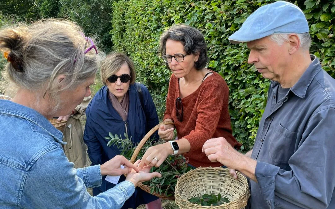 Activiteiten in Voedselbos Glimmen