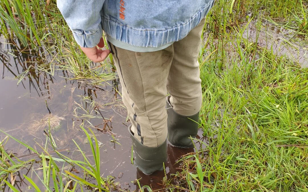 Leerlingen ontdekken het landschap van Groeningen met al hun zintuigen