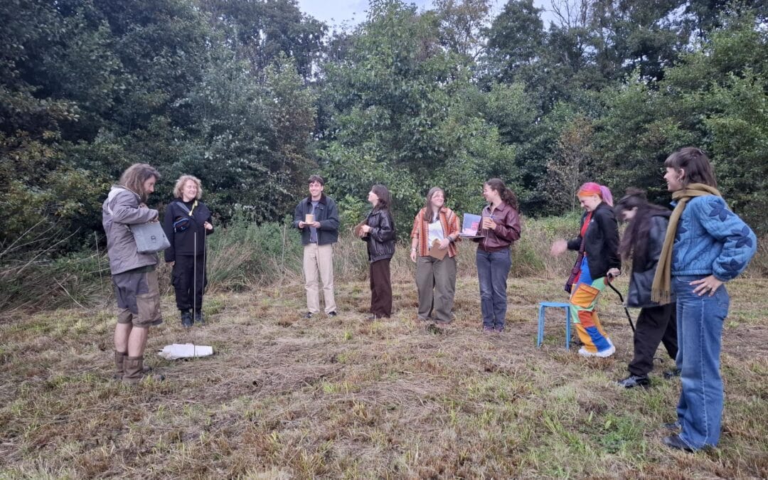 Transformatie van parkeerplaats in de Onlanden tot kunstwerk